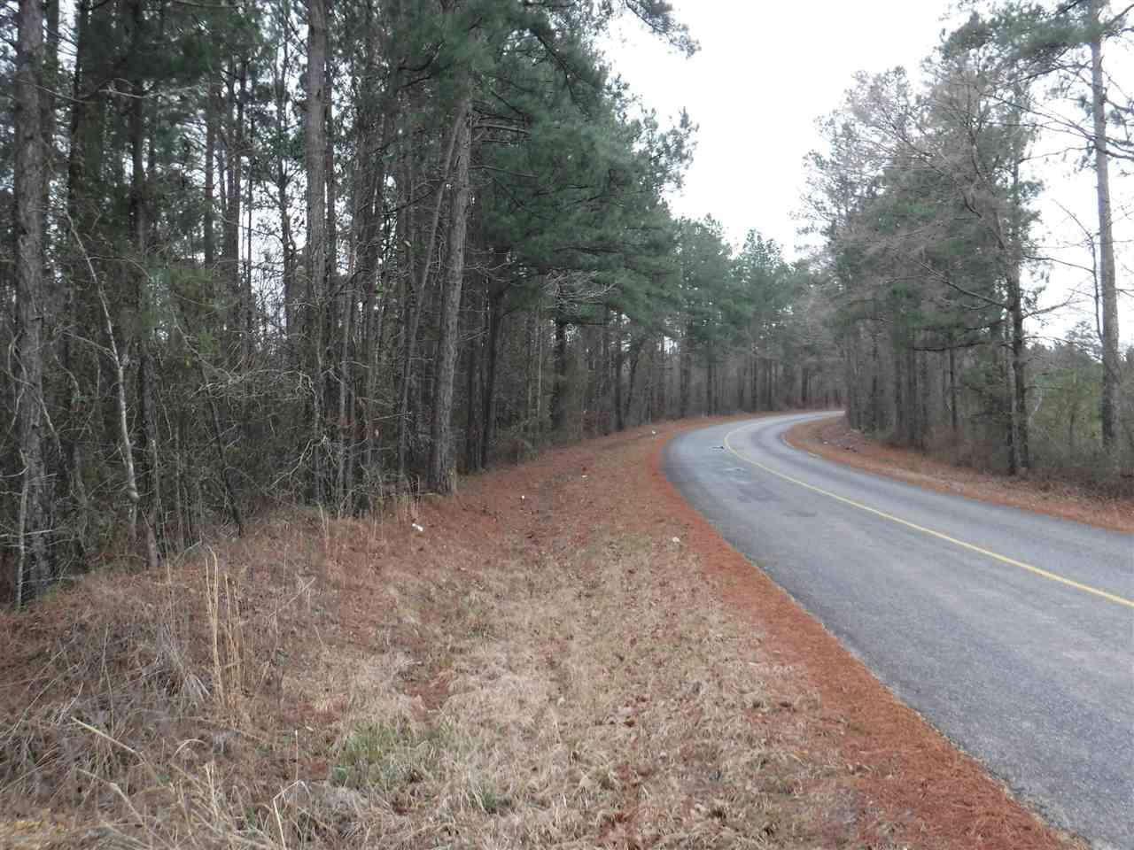 1 Johns Shiloh Road Brandon, MS 39042 - Photo 3 of 13 Photo 3