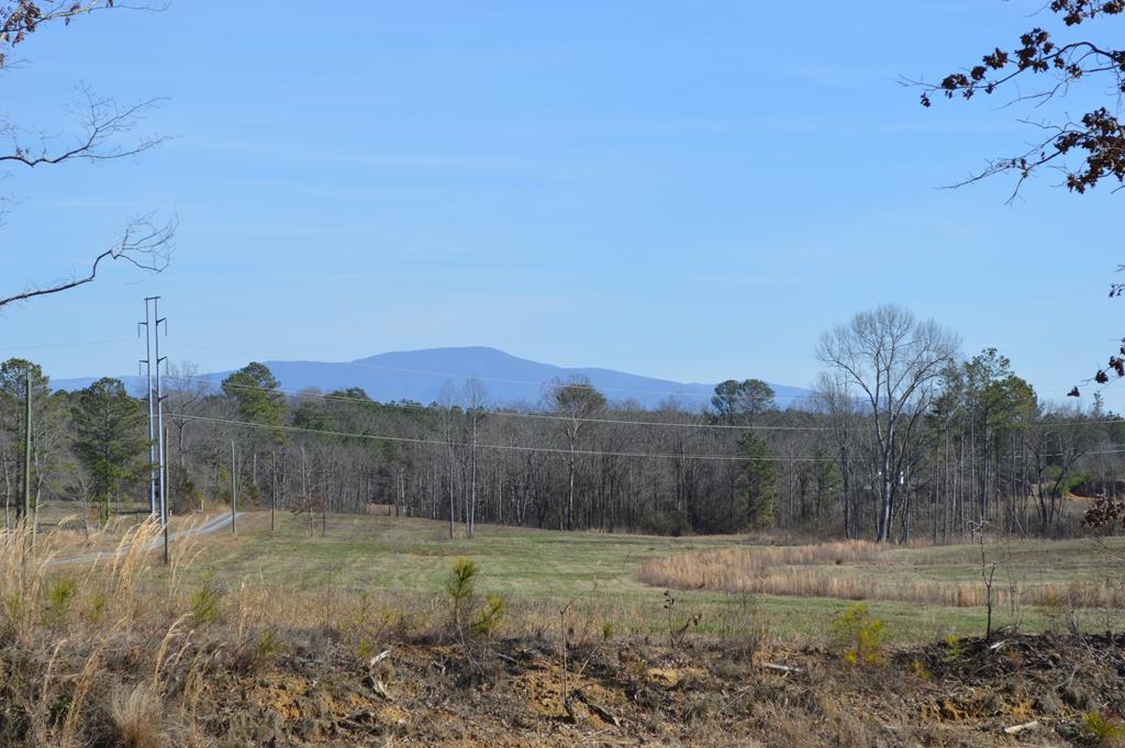 1436 Boyles Mill Road Northeast Dalton, GA 30721 - Photo 51 of 57 Gallery Image 51