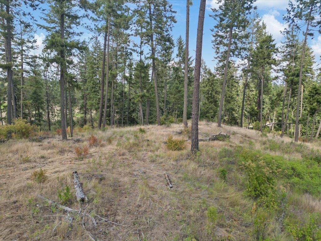 Nka West Ballard Road, Unit LOT 1B Spokane, WA 99208 - Photo 11 of 11 Gallery Image 11