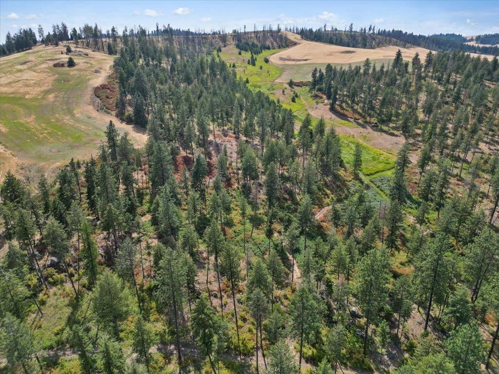 Nka West Ballard Road, Unit LOT 1B Spokane, WA 99208 - Photo 4 of 11 Gallery Image 4