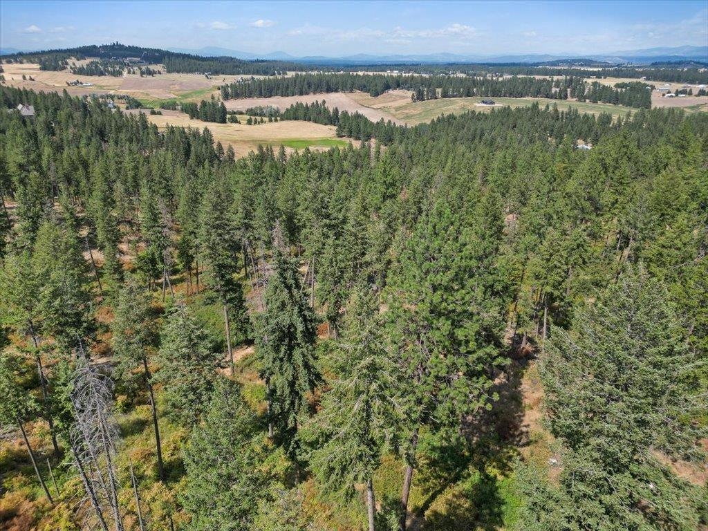 Nka West Ballard Road, Unit LOT 1B Spokane, WA 99208 - Photo 5 of 11 Gallery Image 5