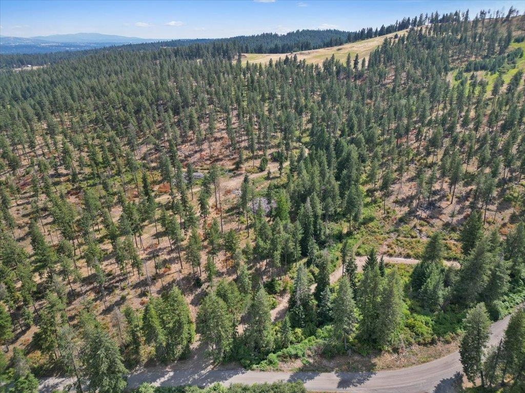 Nka West Ballard Road, Unit LOT 1B Spokane, WA 99208 - Photo 6 of 11 Gallery Image 6