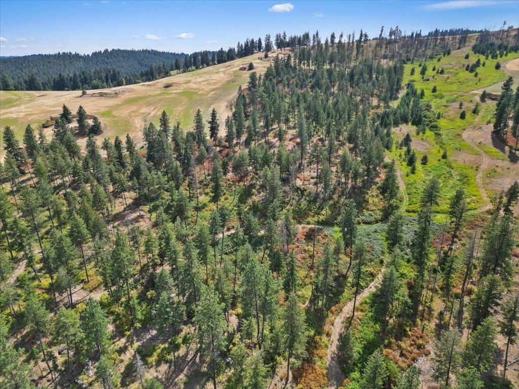 Nka West Ballard Road, Unit LOT 1B Spokane, WA 99208 - Photo 7 of 11 Gallery Image 7
