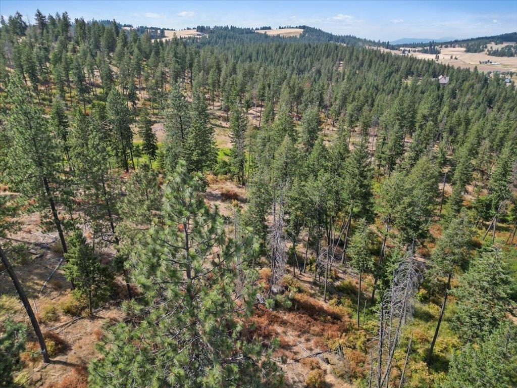 Nka West Ballard Road, Unit LOT 1B Spokane, WA 99208 - Photo 8 of 11 Gallery Image 8