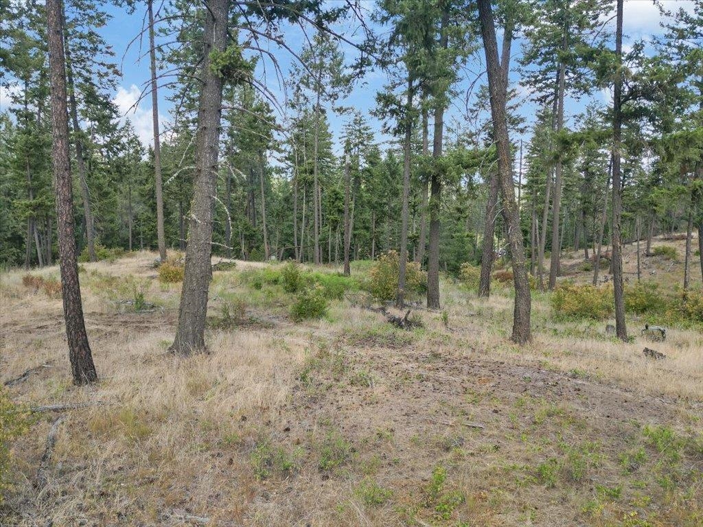Nka West Ballard Road, Unit LOT 1B Spokane, WA 99208 - Photo 9 of 11 Gallery Image 9