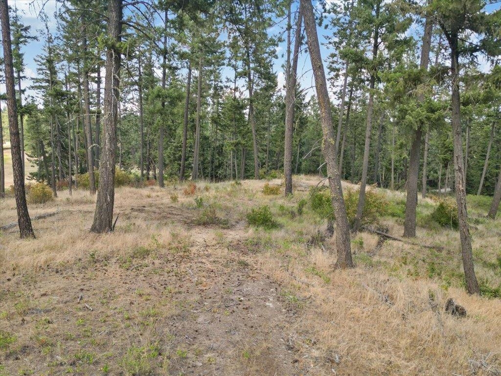 Nka West Ballard Road, Unit LOT 1B Spokane, WA 99208 - Photo 10 of 11 Gallery Image 10