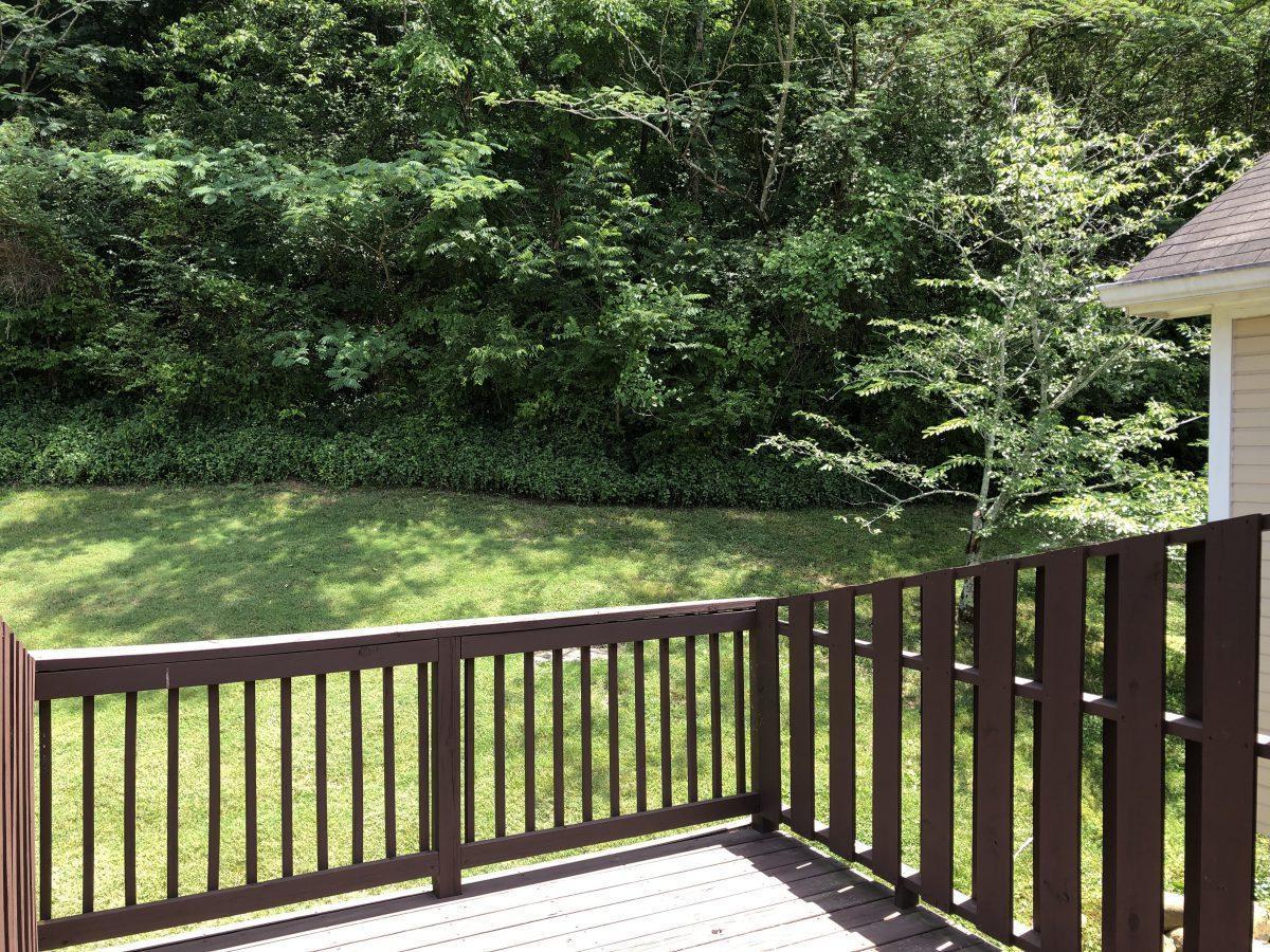 637 West View Road Chattanooga, TN 37415 - Photo 21 of 25 548458-20