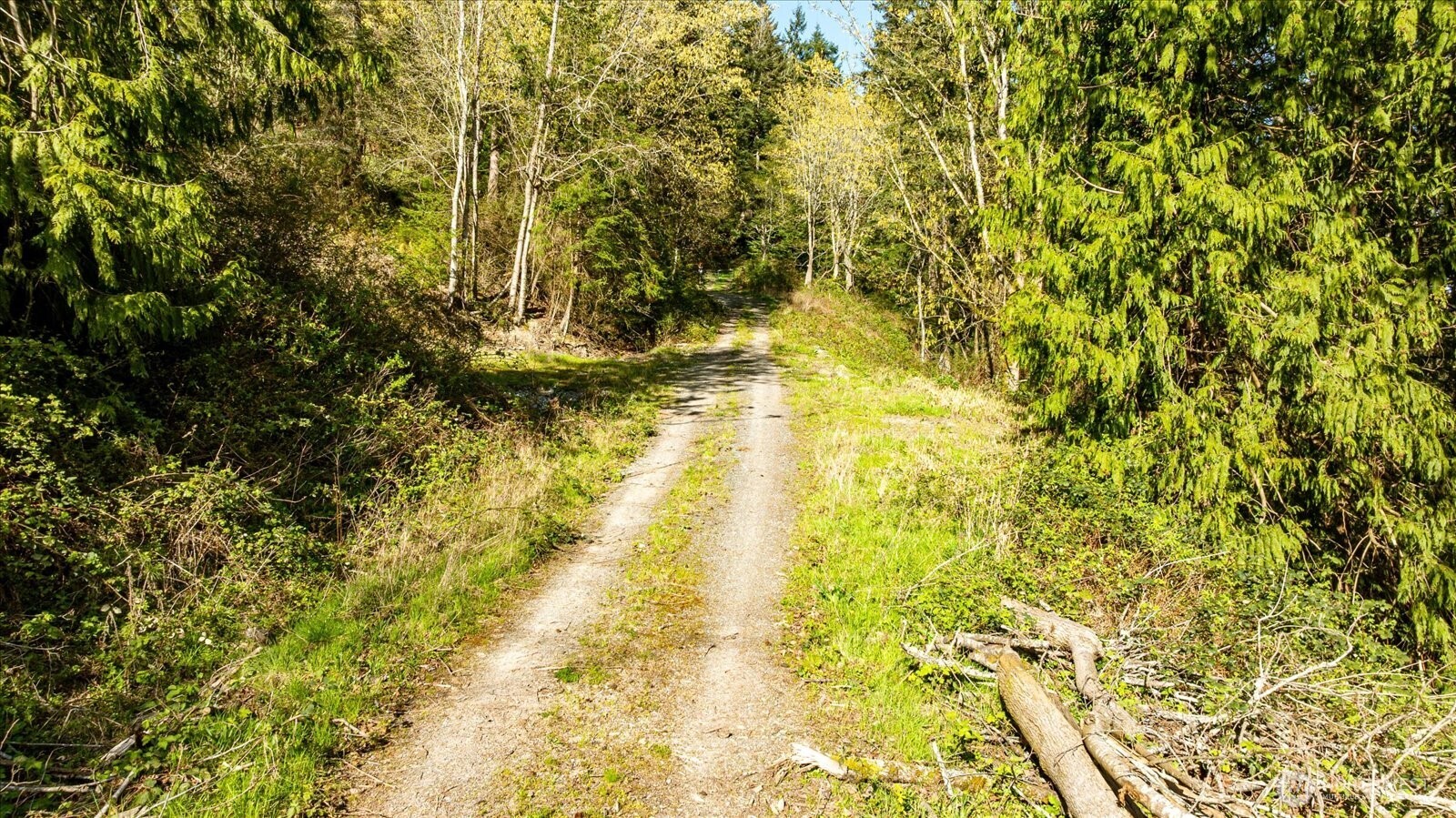 -xxx Campbell Lake Road Anacortes, WA 98221 - Photo 17 of 29 a view of yard with large trees