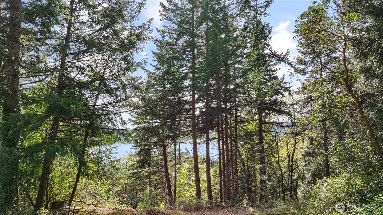 -xxx Campbell Lake Road Anacortes, WA 98221 - Photo 23 of 29