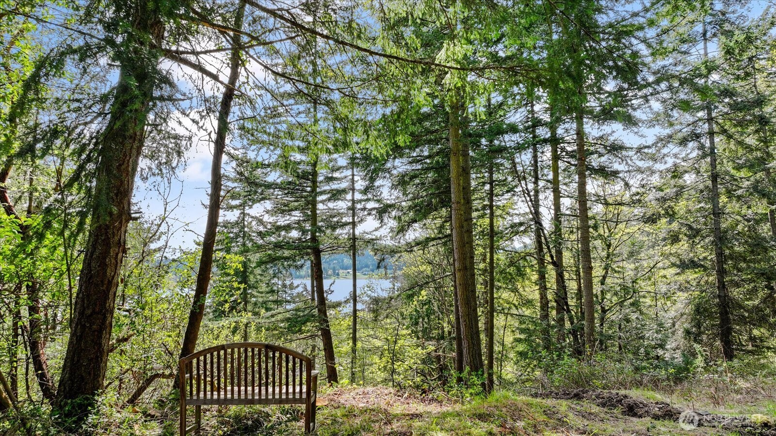 -xxx Campbell Lake Road Anacortes, WA 98221 - Photo 24 of 29 a view of forest
