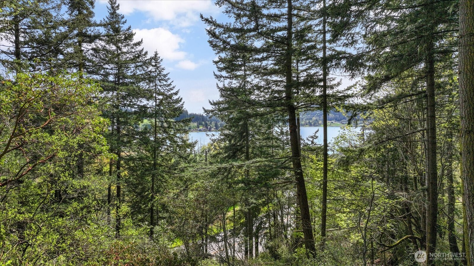 -xxx Campbell Lake Road Anacortes, WA 98221 - Photo 25 of 29 a view of forest