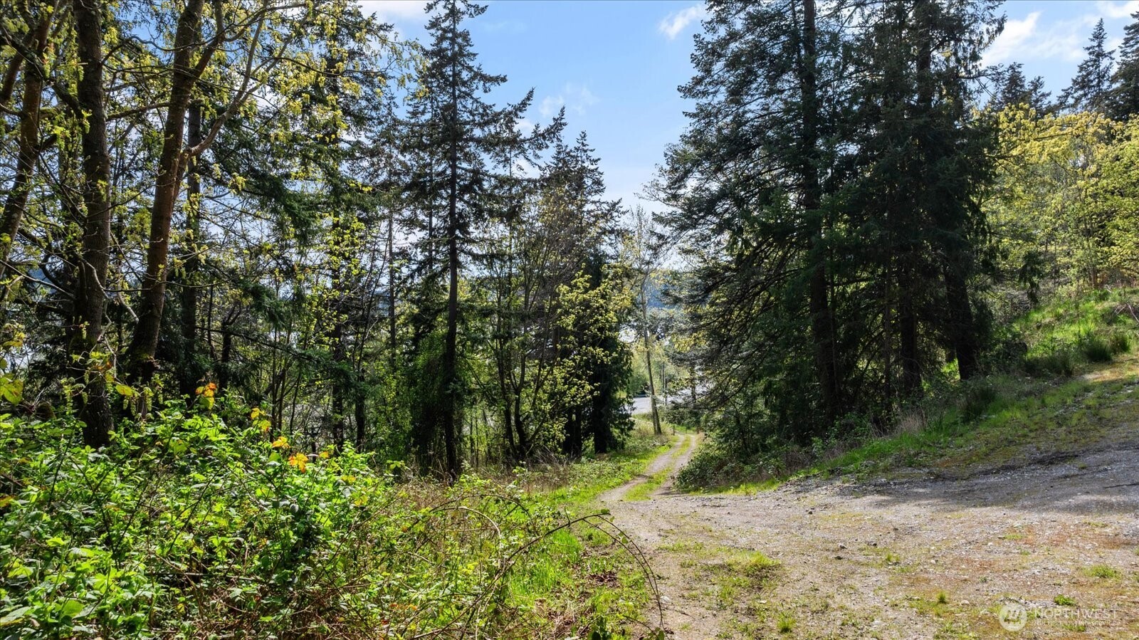 -xxx Campbell Lake Road Anacortes, WA 98221 - Photo 29 of 29 a view of a yard with plants and trees