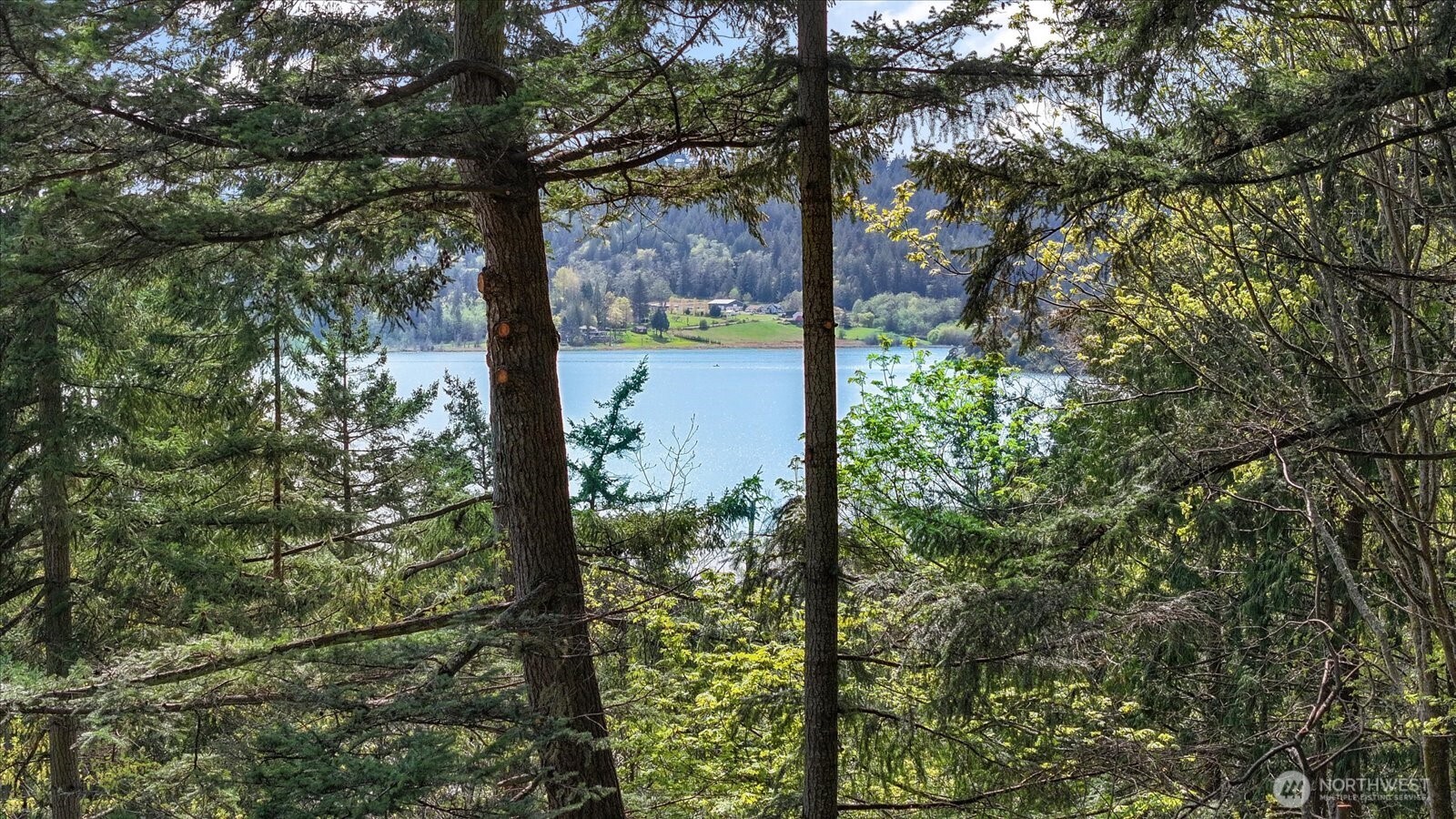 -xxx Campbell Lake Road Anacortes, WA 98221 - Photo 3 of 29 a view of lake from a tree