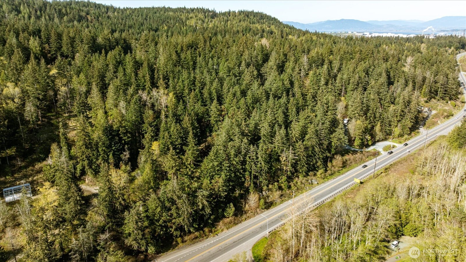 -xxx Campbell Lake Road Anacortes, WA 98221 - Photo 9 of 29 a view of a lush green forest with a mountain