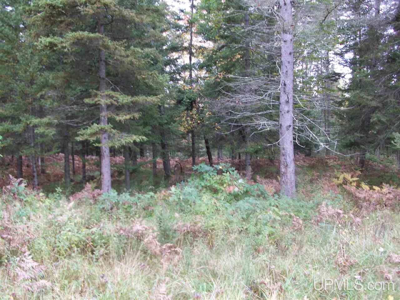 3080 Co Road Cornell, MI 49818 - Photo 13 of 15