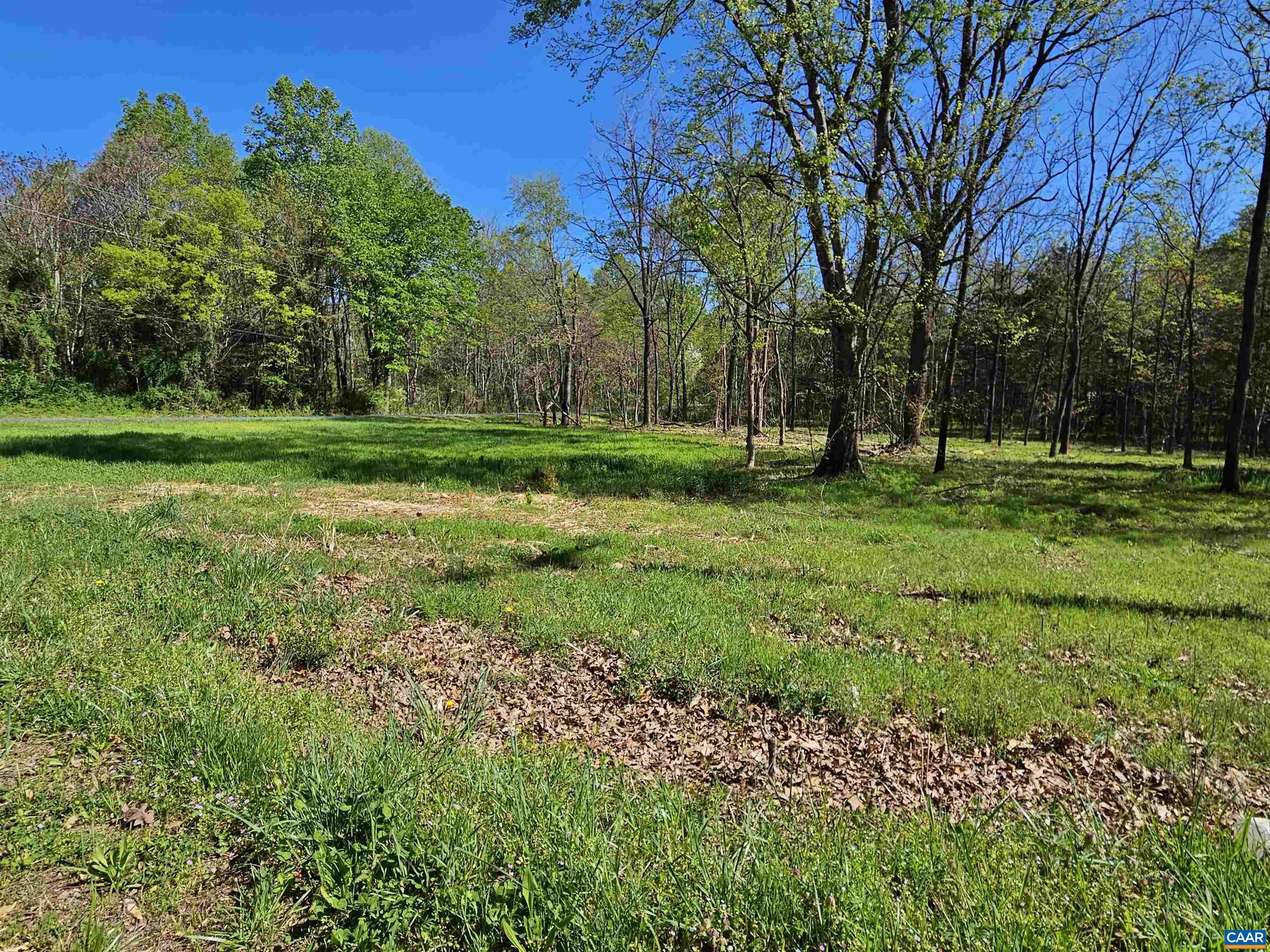 1.441-ac Physic Spring Road Dillwyn, VA 23936 - Photo 5 of 12 Gallery Image 5