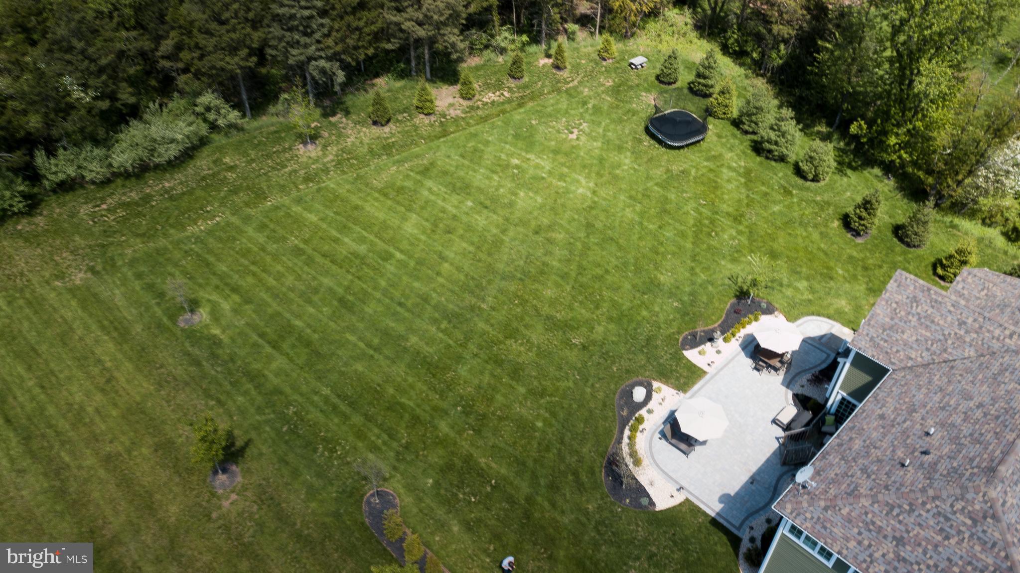 12 Sortor Road Skillman, NJ 08558 - Photo 8 of 19