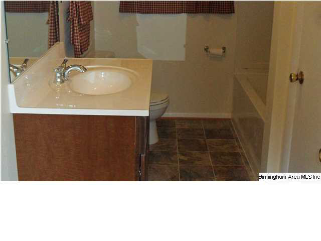 211 Cove Road Wilsonville, AL 35186 - Photo 7 of 13