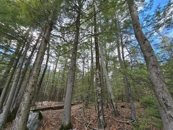 $59,000 | 0 Jennison Road, Wendell, MA 01379