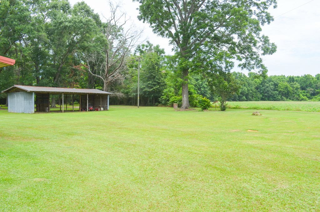225 Royce Lane Dothan, AL 36305 - Photo 18 of 31