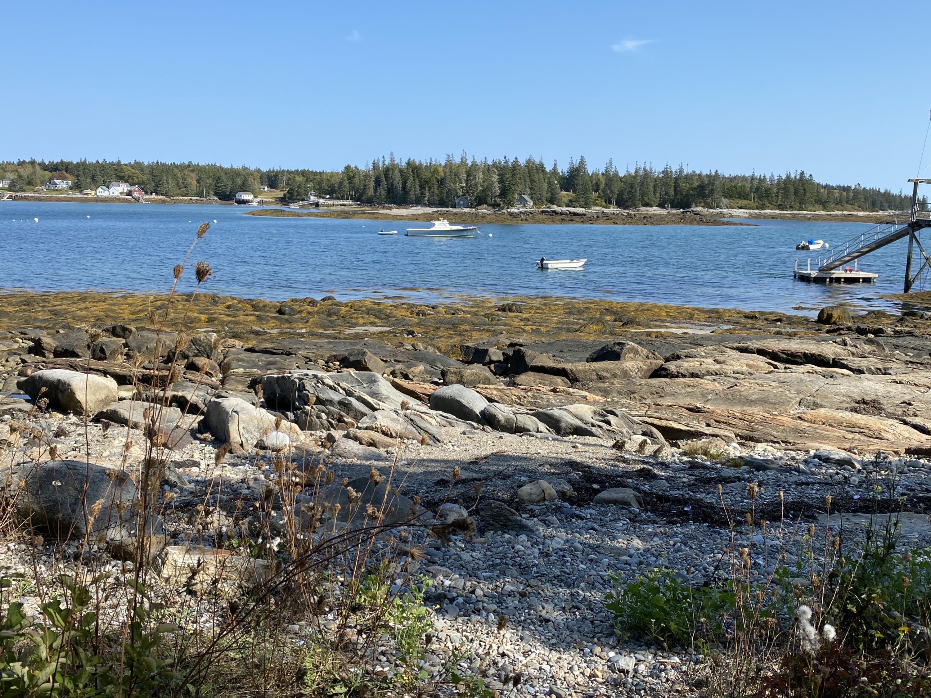 0 Beach Point Road Tenants Harbor, ME 04860 - Photo 32 of 42 Right of way across the street