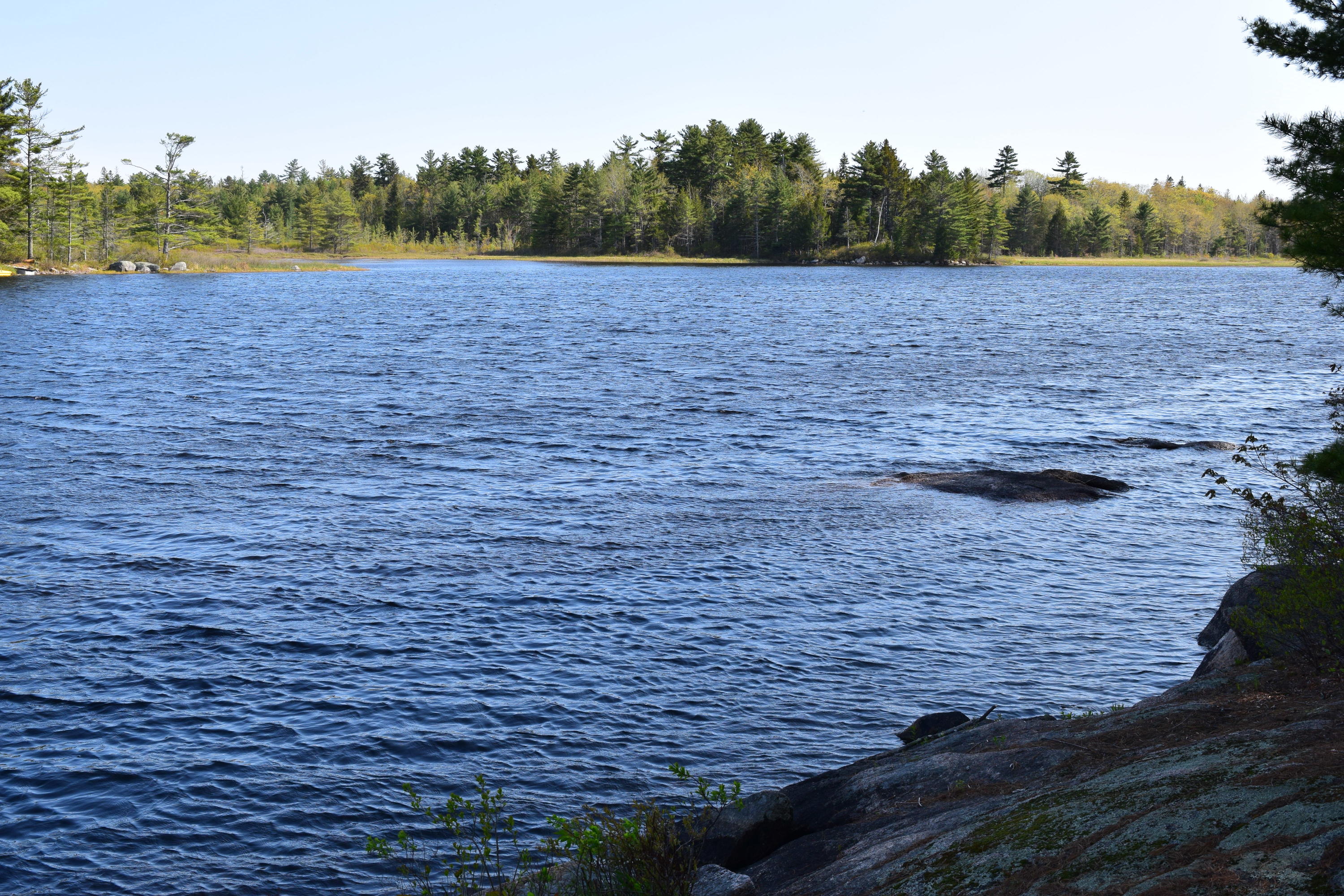 81 Point Road Sullivan, ME 04664 - Photo 20 of 35 DSC_0060