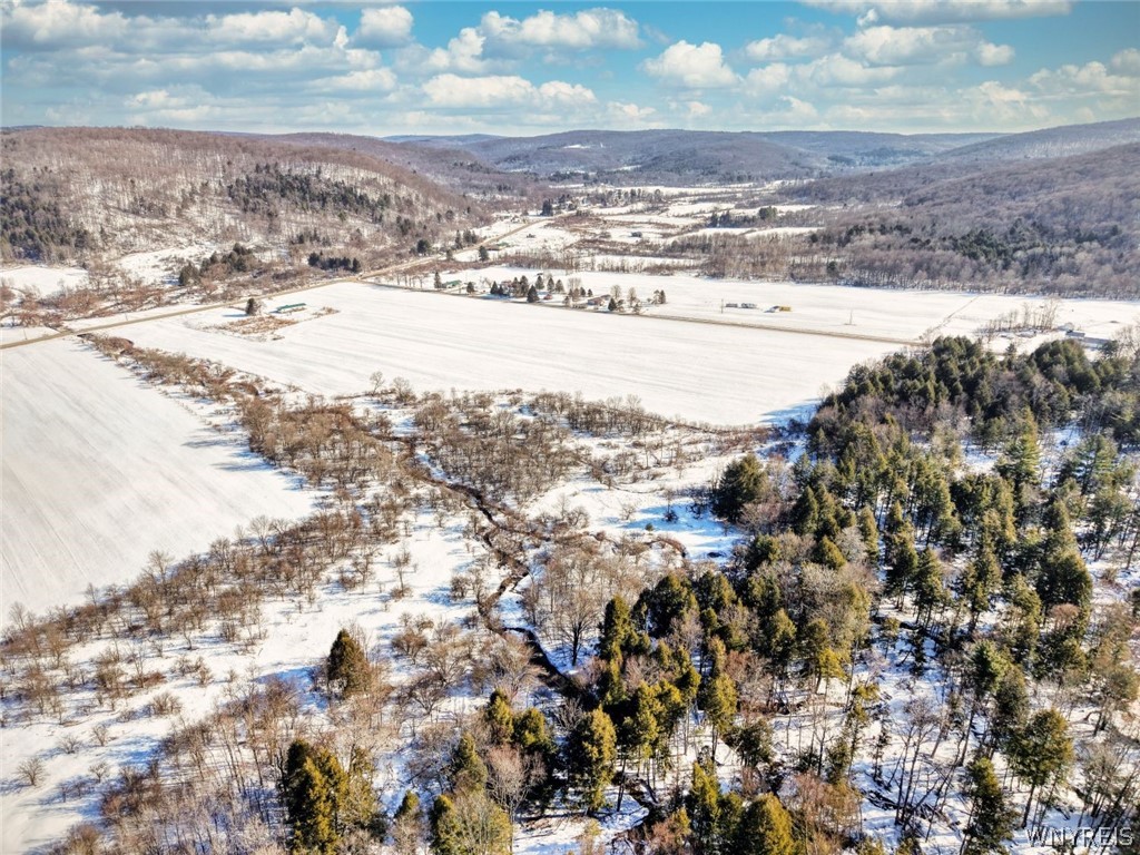 0 Humphrey Rd/ Cr Great Valley, NY 14741 - Photo 11 of 14