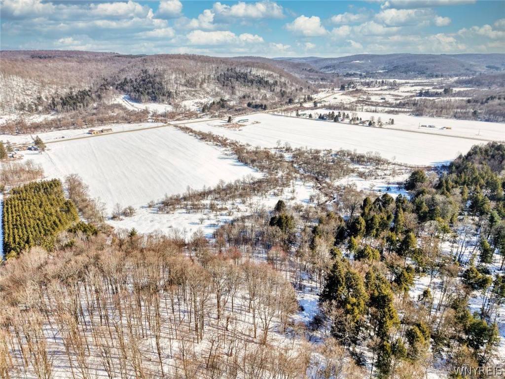 0 Humphrey Rd/ Cr Great Valley, NY 14741 - Photo 13 of 14