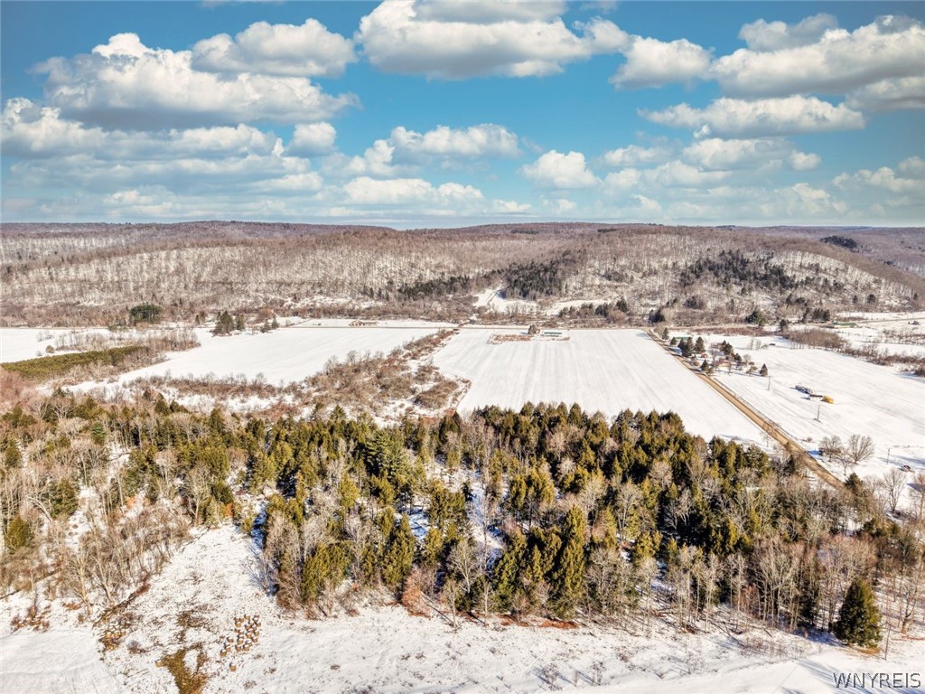 0 Humphrey Rd/ Cr Great Valley, NY 14741 - Photo 6 of 14
