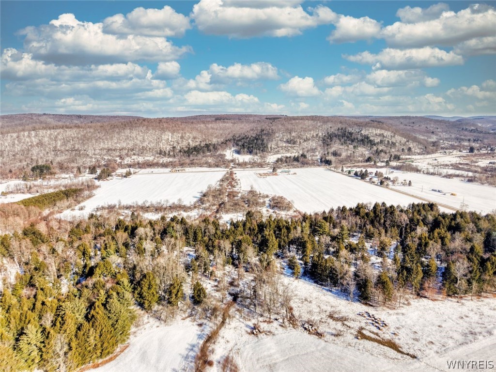 0 Humphrey Rd/ Cr Great Valley, NY 14741 - Photo 7 of 14