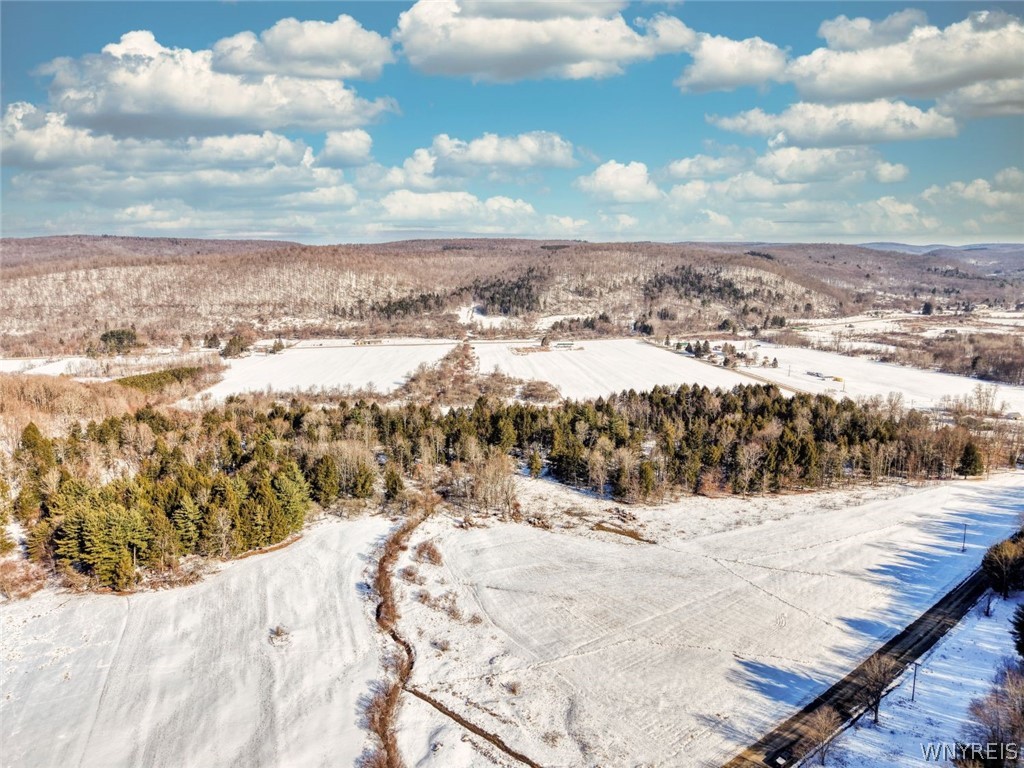 0 Humphrey Rd/ Cr Great Valley, NY 14741 - Photo 8 of 14