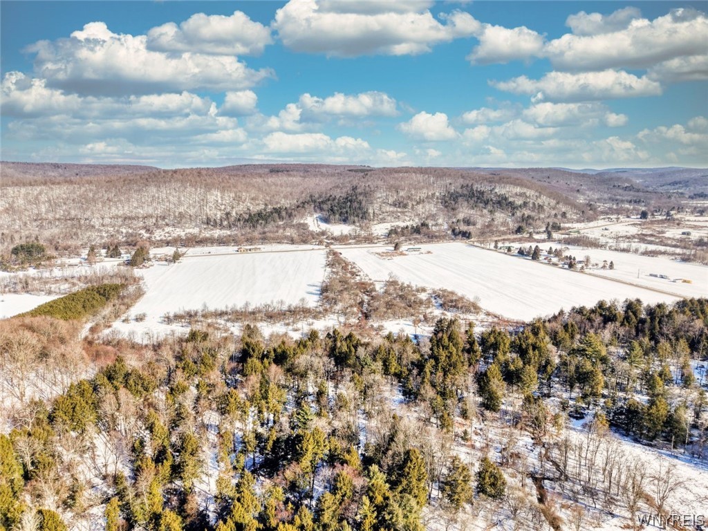 0 Humphrey Rd/ Cr Great Valley, NY 14741 - Photo 9 of 14