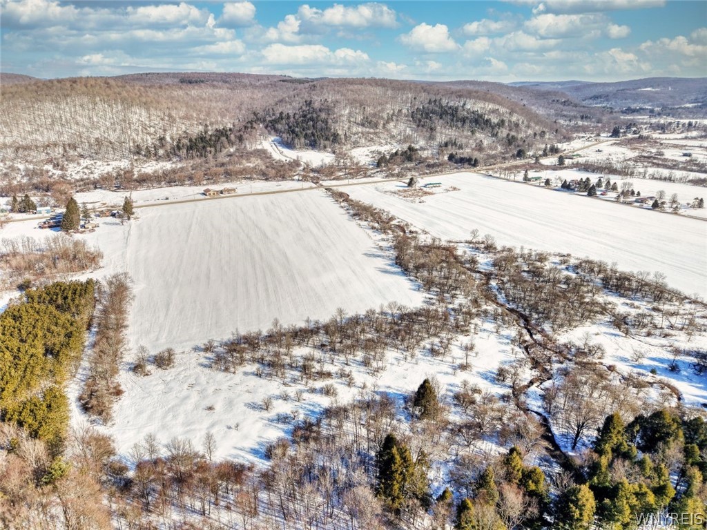 0 Humphrey Rd/ Cr Great Valley, NY 14741 - Photo 10 of 14