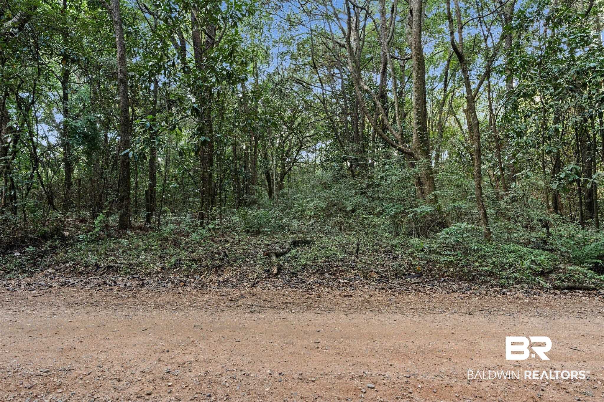 0 Dick Turner Road Grand Bay, AL 36541 - Photo 13 of 13 View of local wilderness