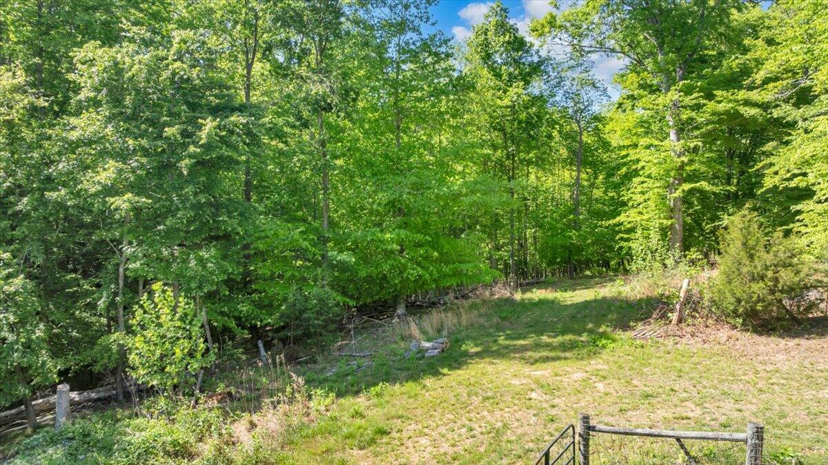 0 Somerset Cove Road Union Hall, VA 24176 - Photo 22 of 34 a view of yard with green space