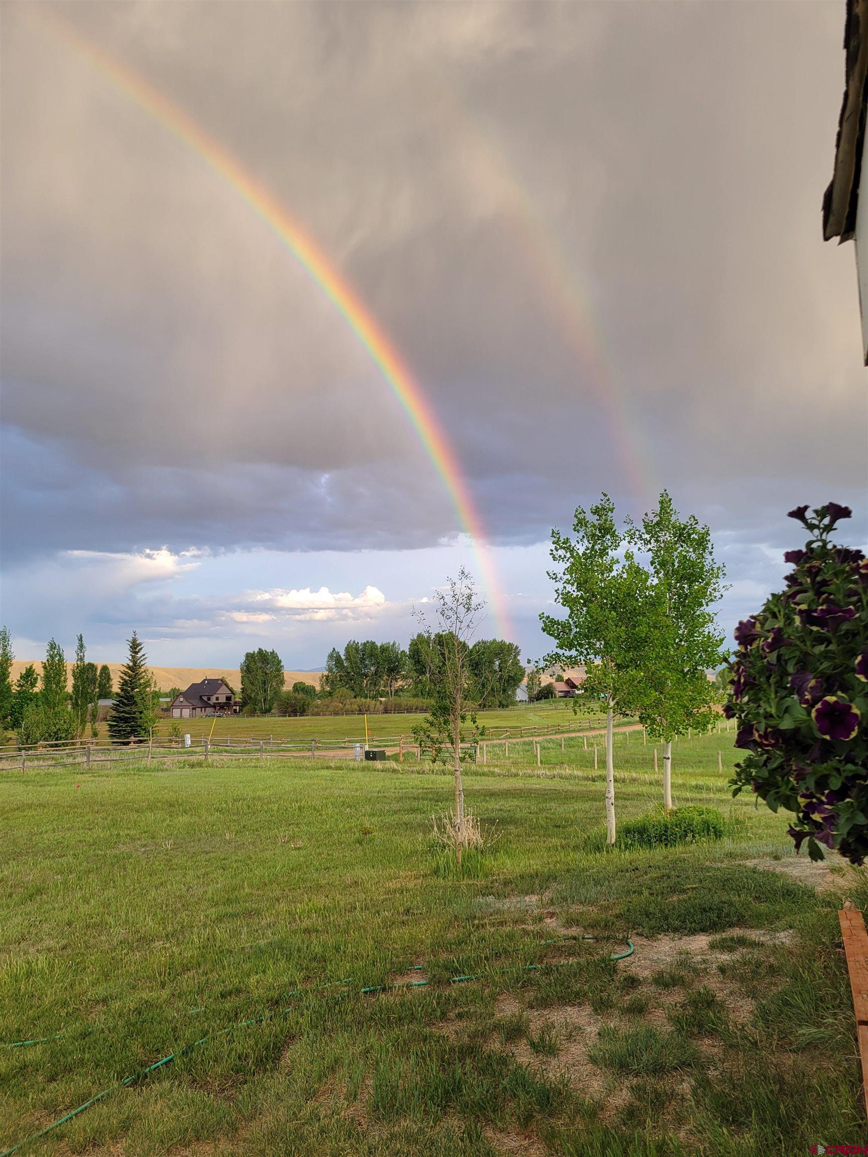 577 Pashuta Drive Gunnison, CO 81230 - Photo 25 of 41 a view of a big room with a big yard and plants