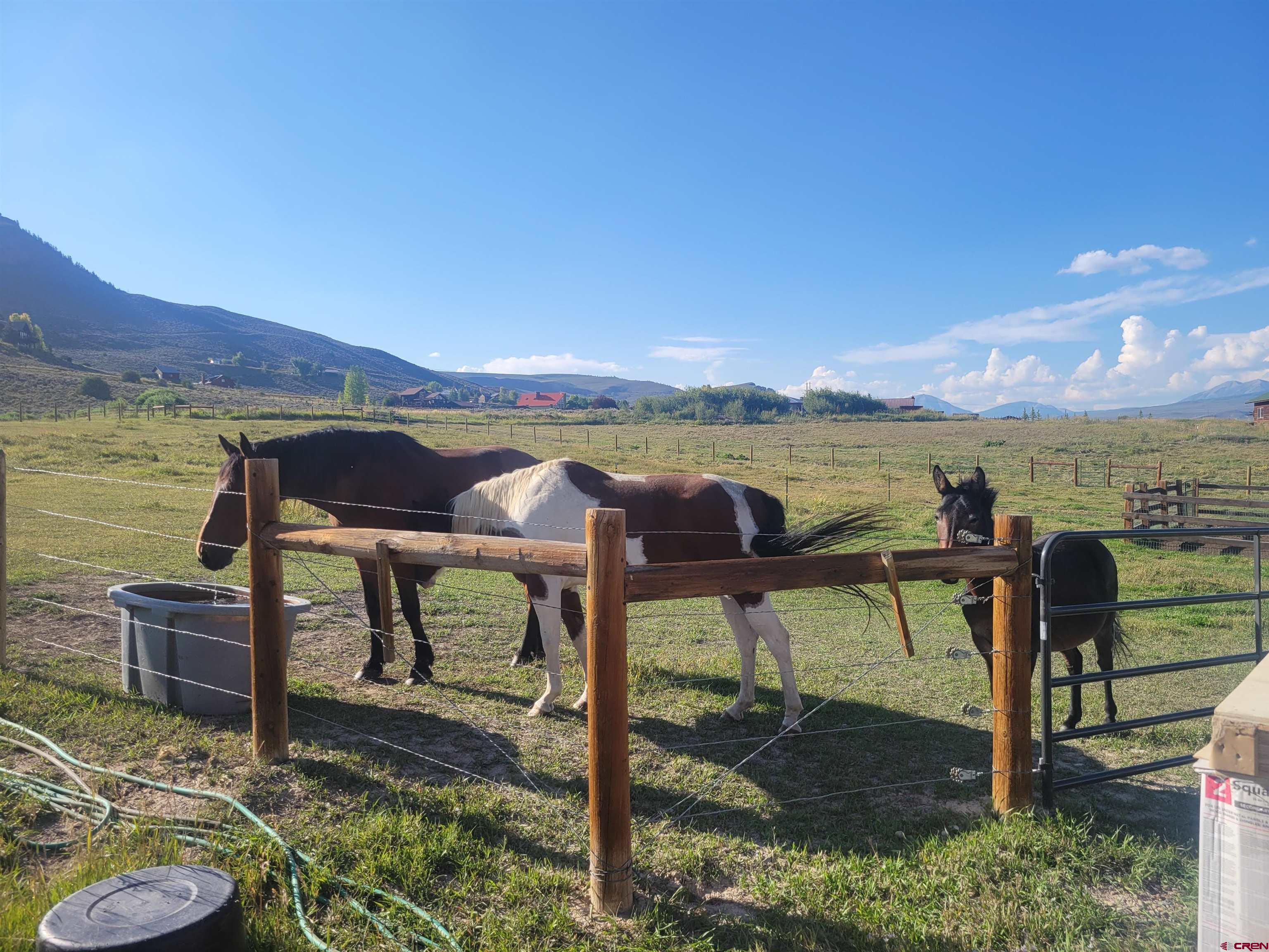 577 Pashuta Drive Gunnison, CO 81230 - Photo 3 of 41 a view of a lake from a yard
