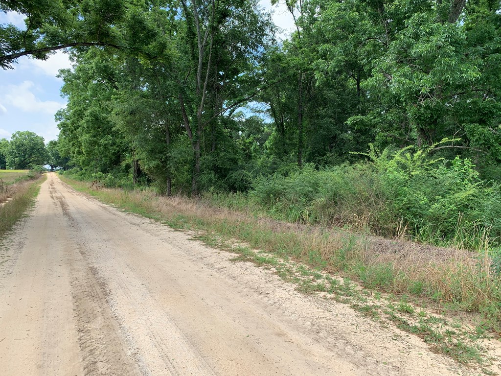 0 Corinth Road Slocomb, AL 36375 - Photo 11 of 11