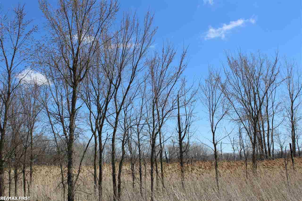 0 Connell Road Yale, MI 48097 - Photo 6 of 22