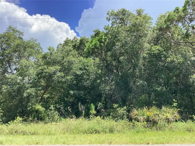 $35,000 | 15095 Gennaro Avenue, Port Charlotte, FL 33953