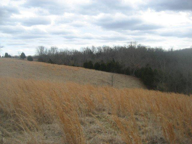 1234 Goose Creek Road Bagdad, KY 40003 - Photo 15 of 23 Photo 15