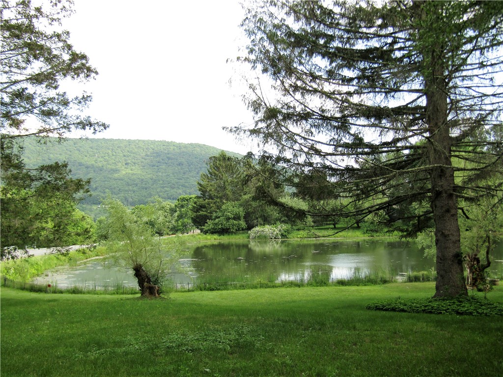 1888 County Highway 8 Denver, NY 12421 - Photo 6 of 46 Spring fed pond