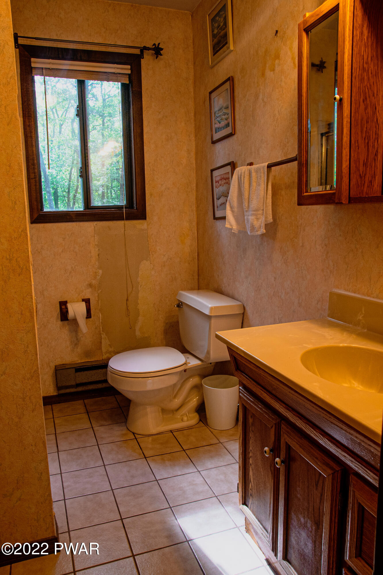 375 Mallard Lane Bushkill, PA 18324 - Photo 11 of 28 a bathroom with a sink a toilet and mirror