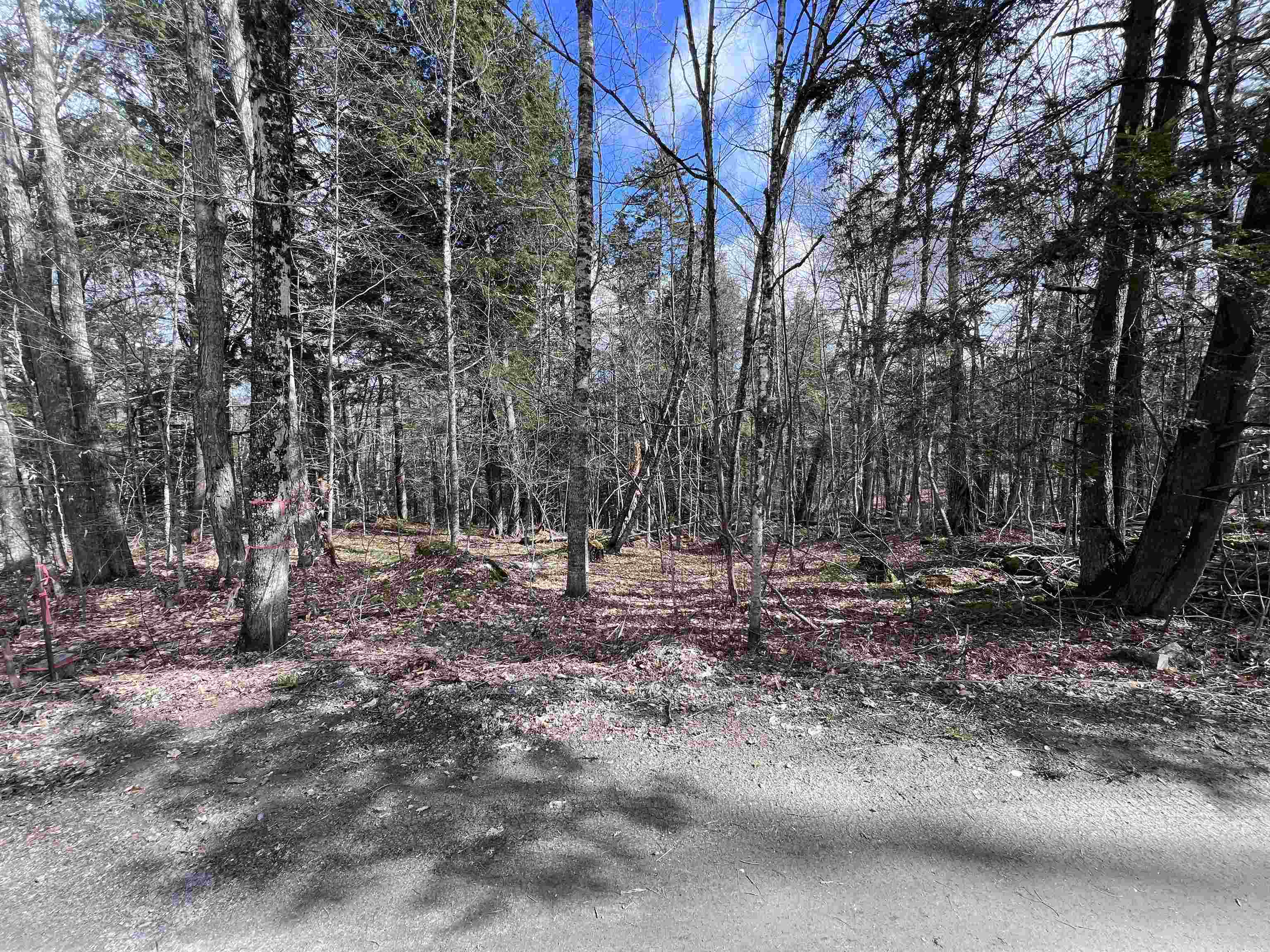 Tbd Rathburn Road East Calais, VT 05650 - Photo 26 of 40