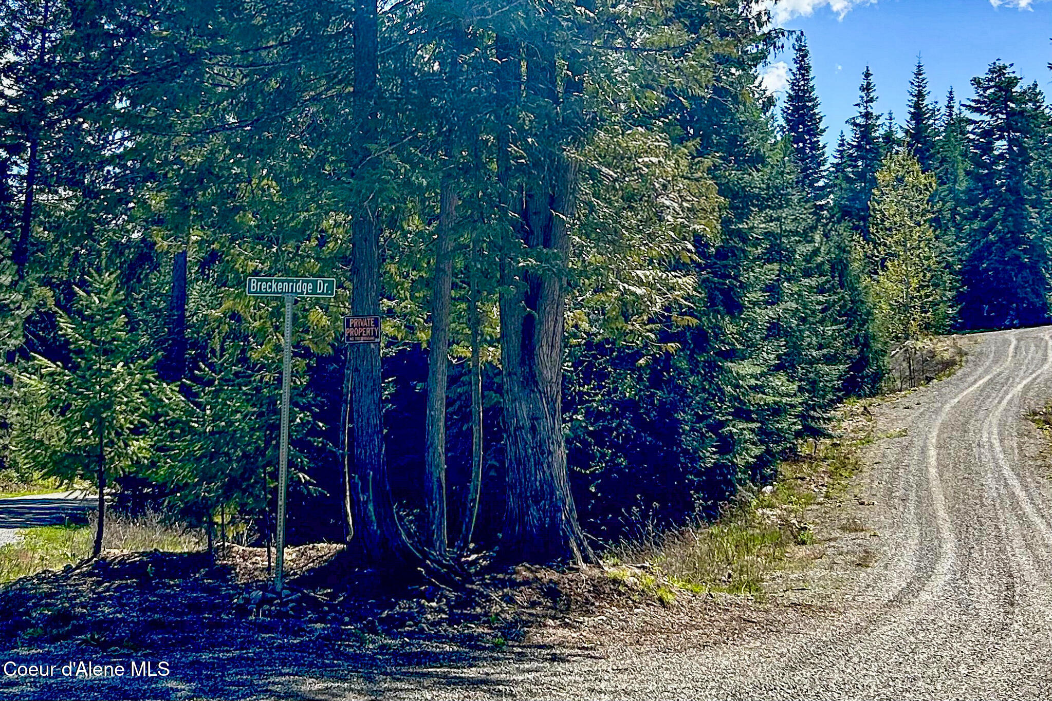 65 Cougar Ridge Lane Priest River, ID 83856 - Photo 13 of 13 65 Cougar Ridge Ln 1