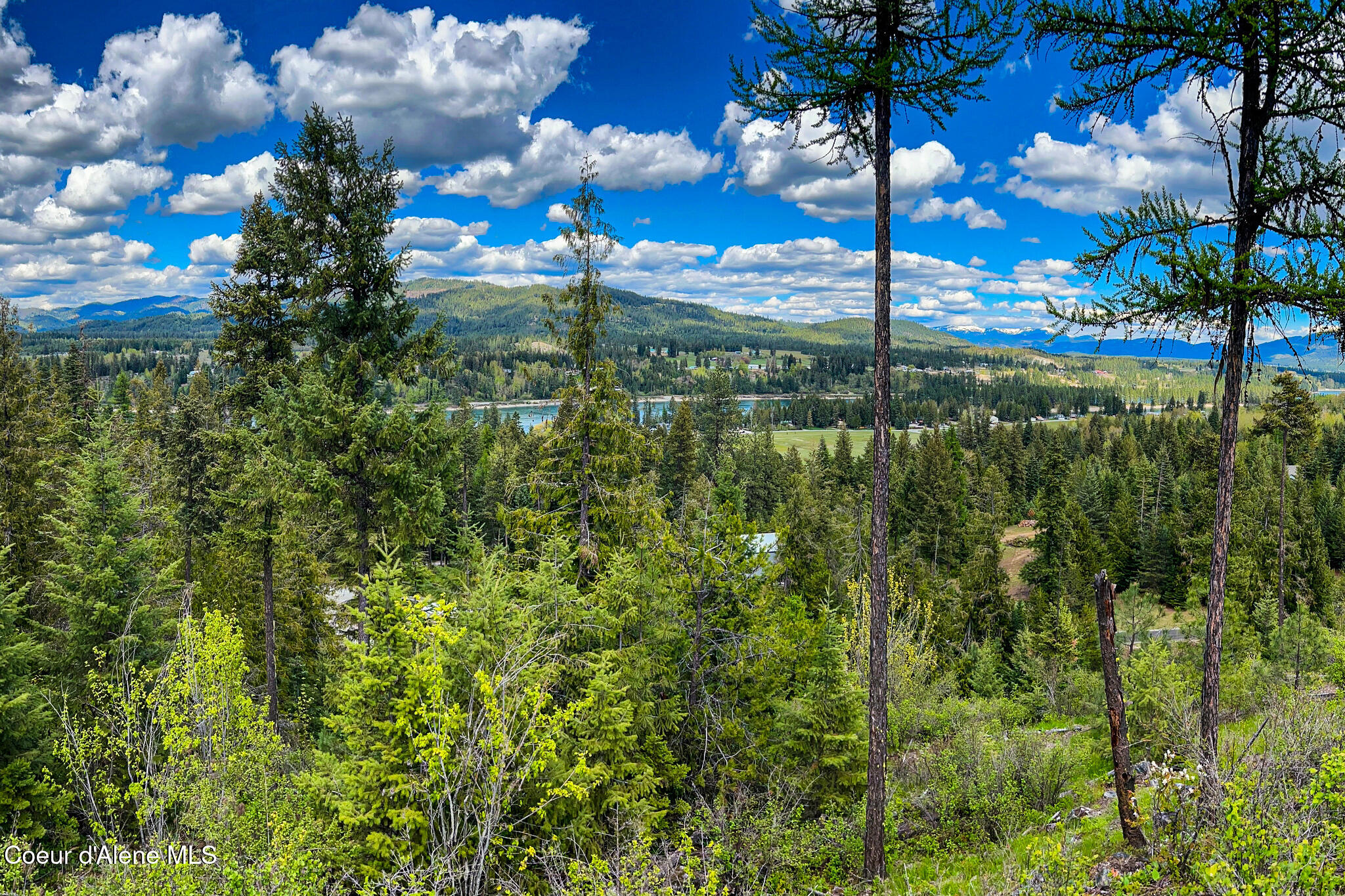 65 Cougar Ridge Lane Priest River, ID 83856 - Photo 6 of 13 65 Cougar Ridge Ln 10