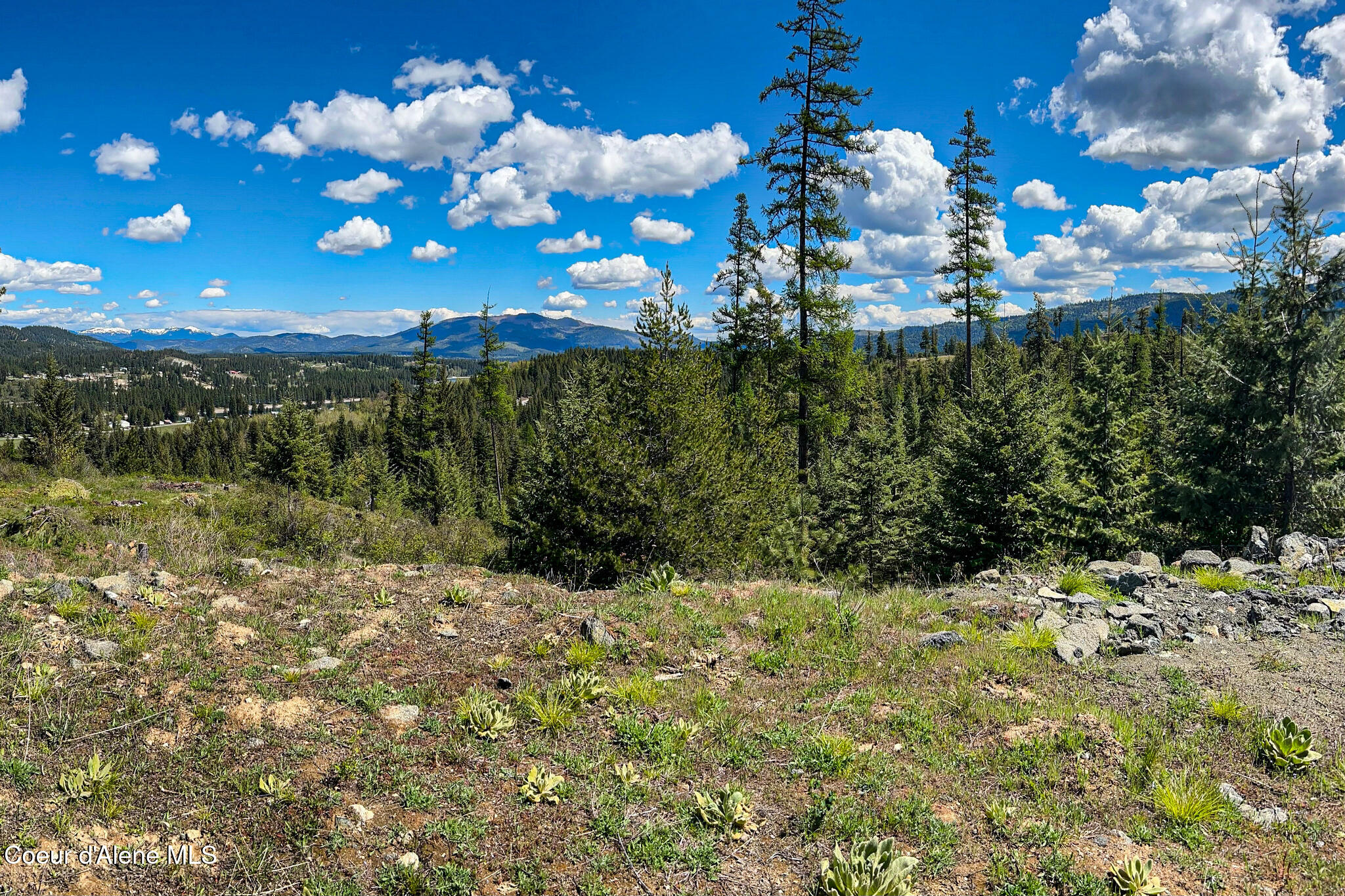 65 Cougar Ridge Lane Priest River, ID 83856 - Photo 7 of 13 65 Cougar Ridge Ln 5