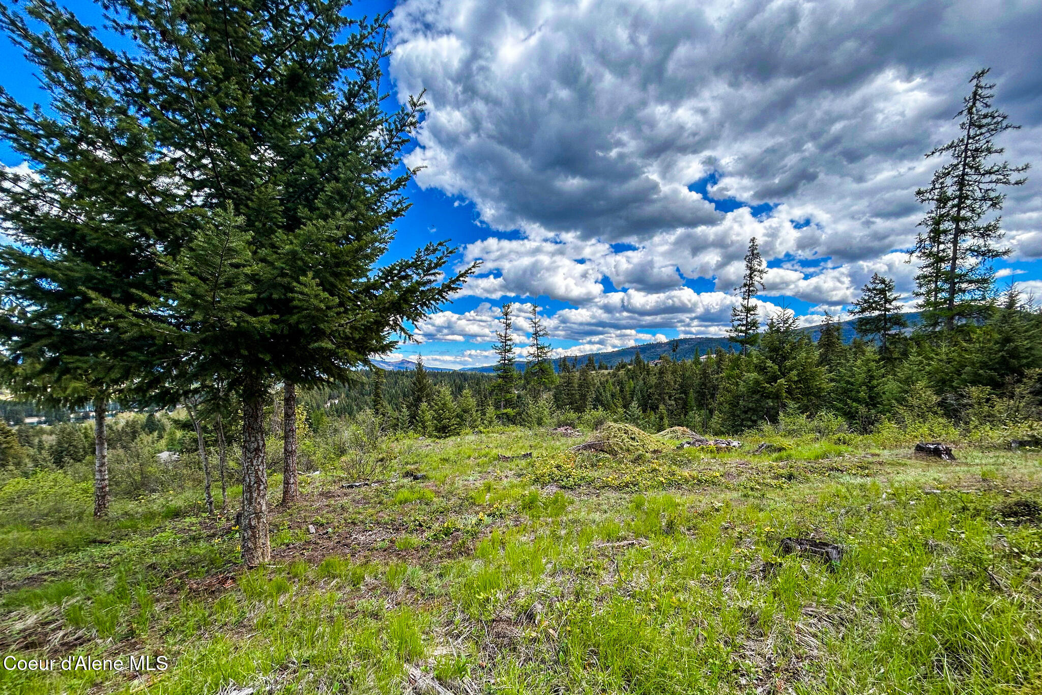 65 Cougar Ridge Lane Priest River, ID 83856 - Photo 8 of 13 65 Cougar Ridge Ln 7