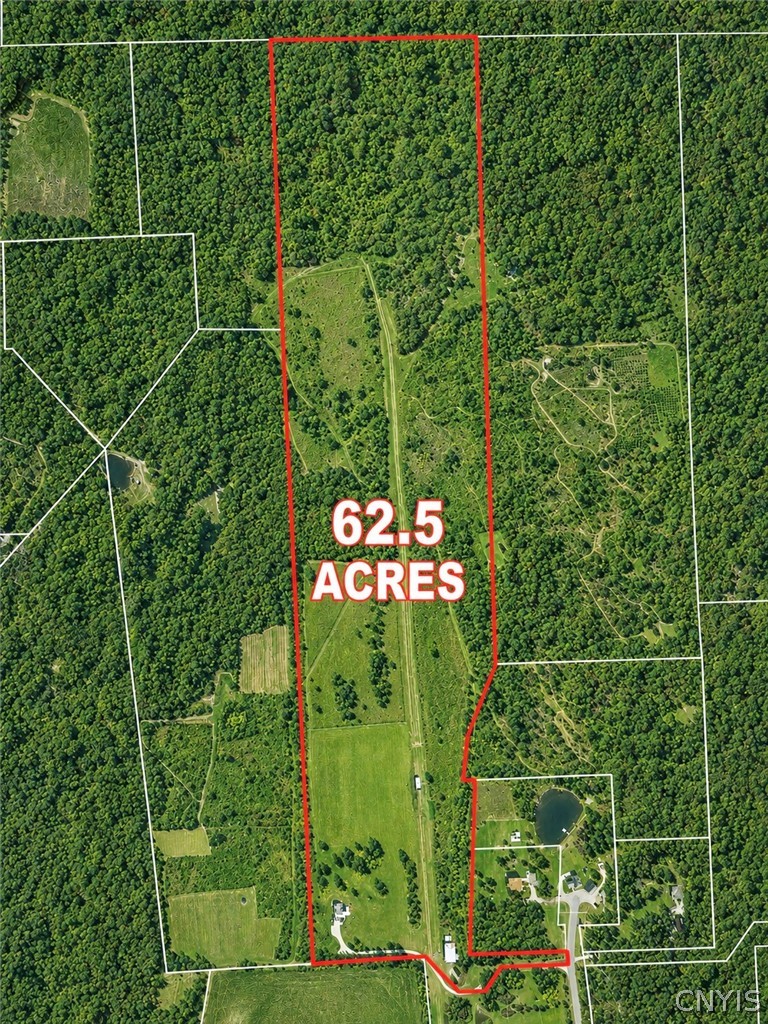 4071 Argos Road Nelson, NY 13035 - Photo 50 of 50