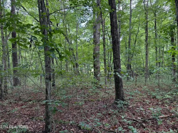 $55,000 | Icy Cove Trail, Monterey, TN 38574